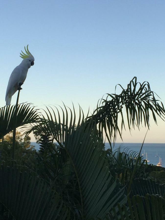 Bed and Breakfast Island Views Airlie Beach Exteriér fotografie