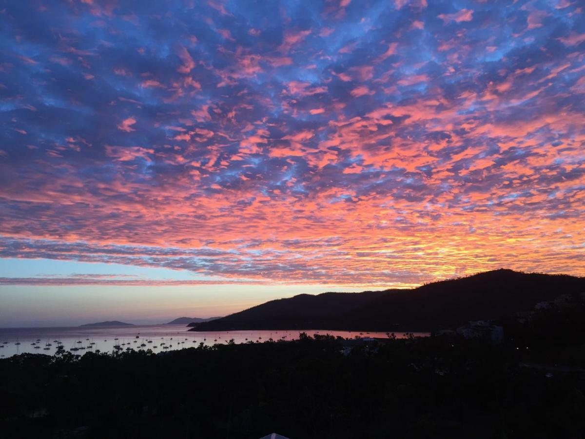 Bed and Breakfast Island Views Airlie Beach Exteriér fotografie